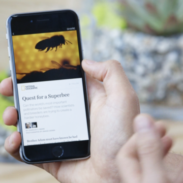 Facebook-instant-articles_Google_Mobile_Amp_Pages